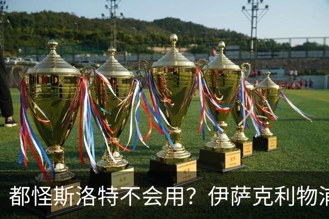 都怪斯洛特不会用？伊萨克利物浦21场3球，世界杯首秀独造3球